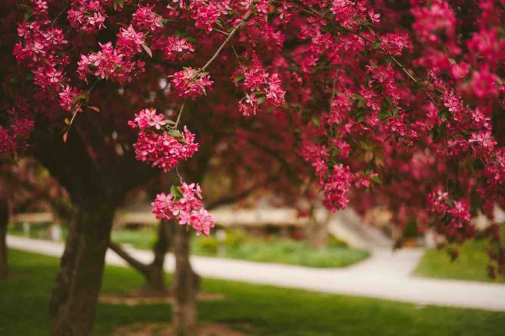 Spring