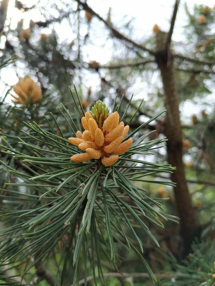 my click