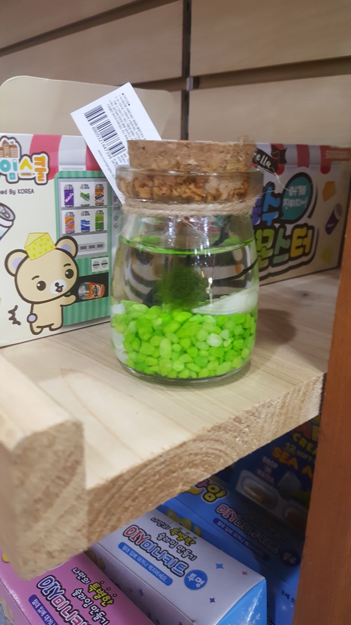 마리모