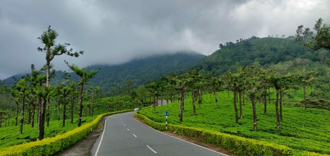 Valparai, TN