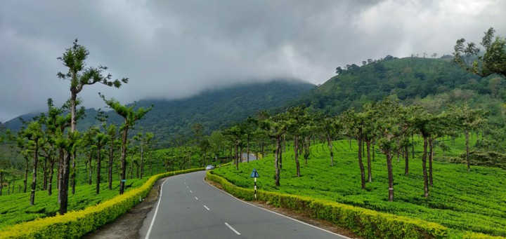 Valparai, TN