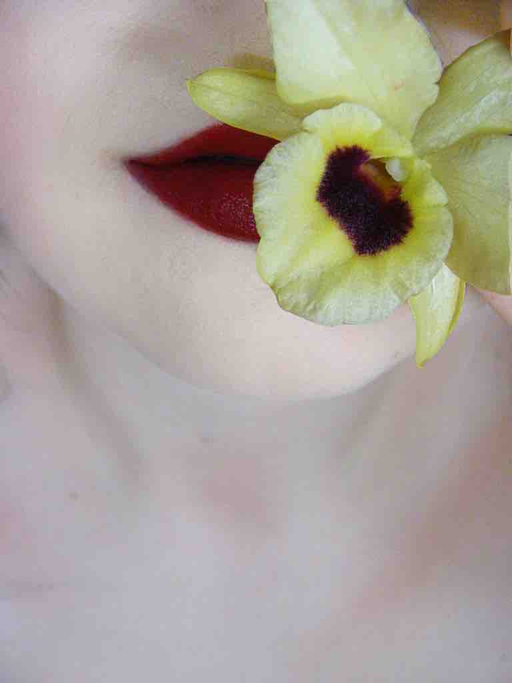orchid