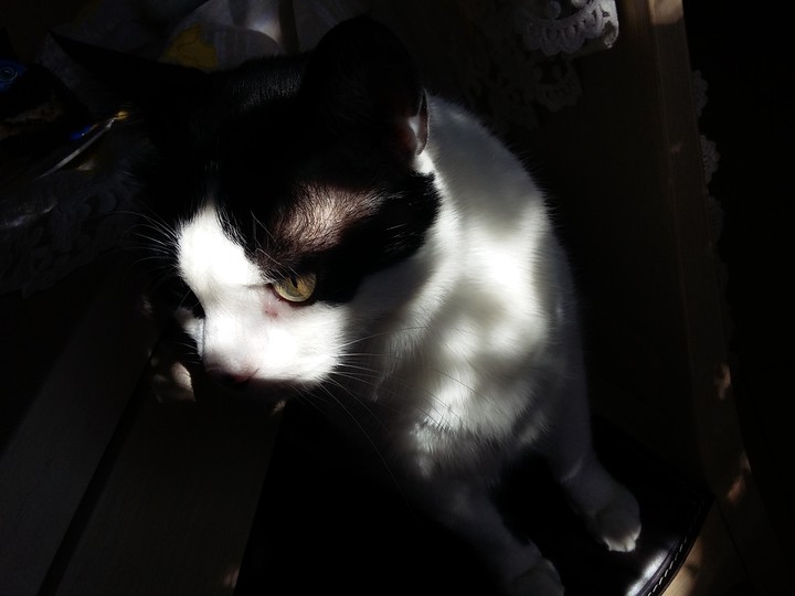shades of light