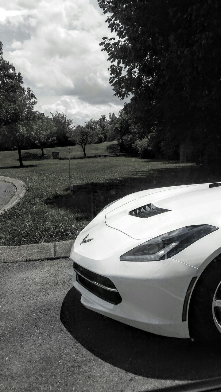 corvette
