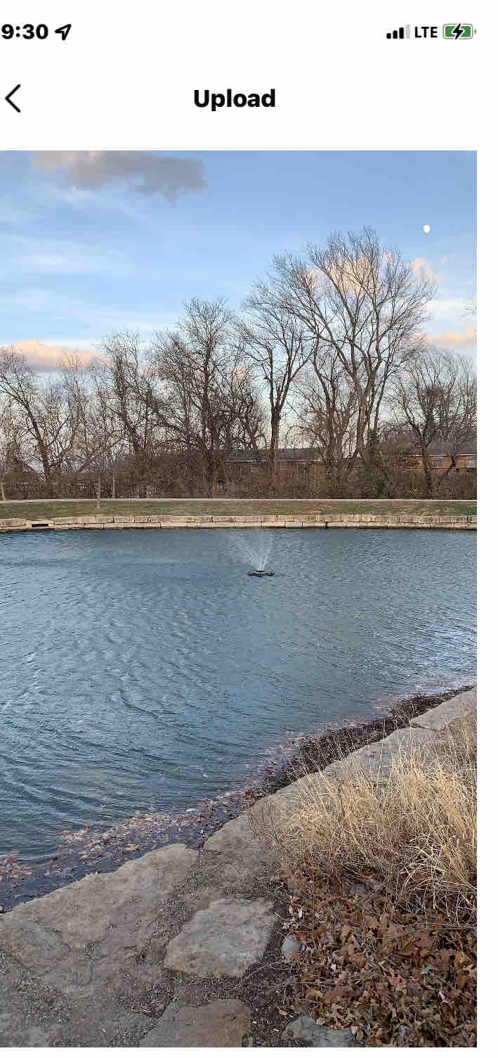 beautiful day at the park