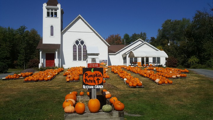 Pumpkins