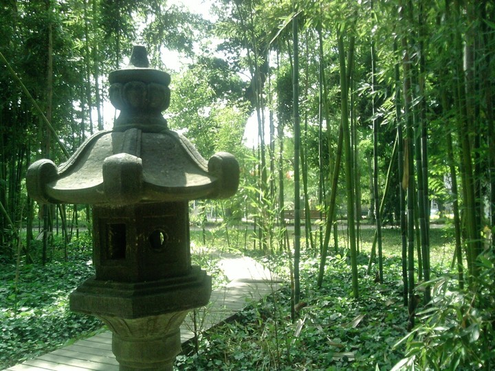 nature japan