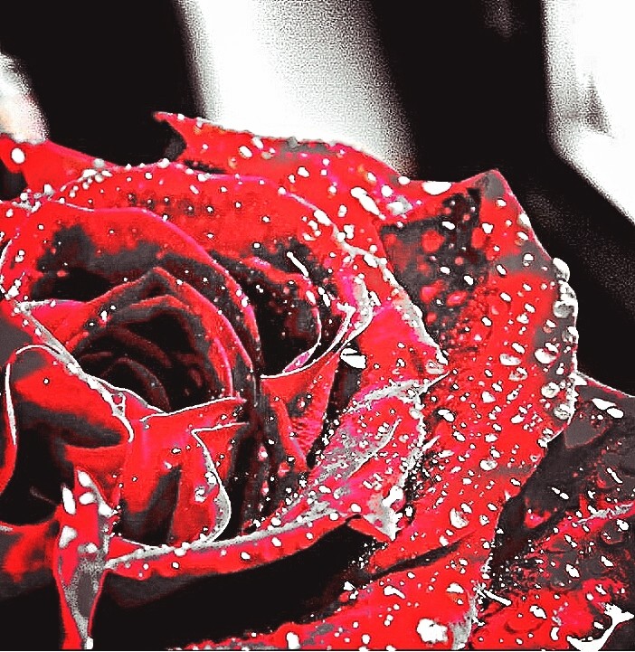 #flower