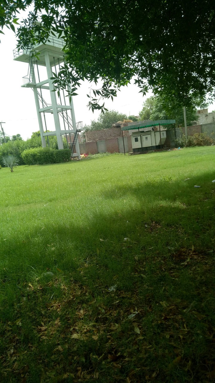 sajid
