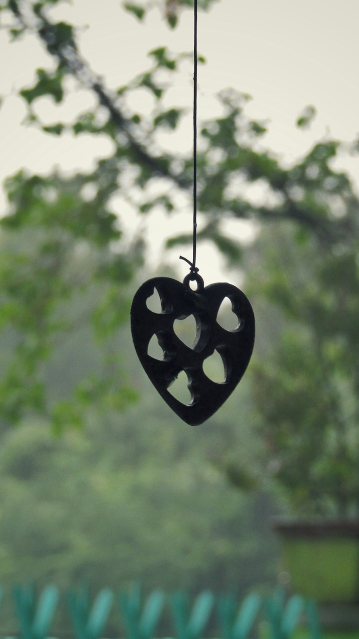 Heart