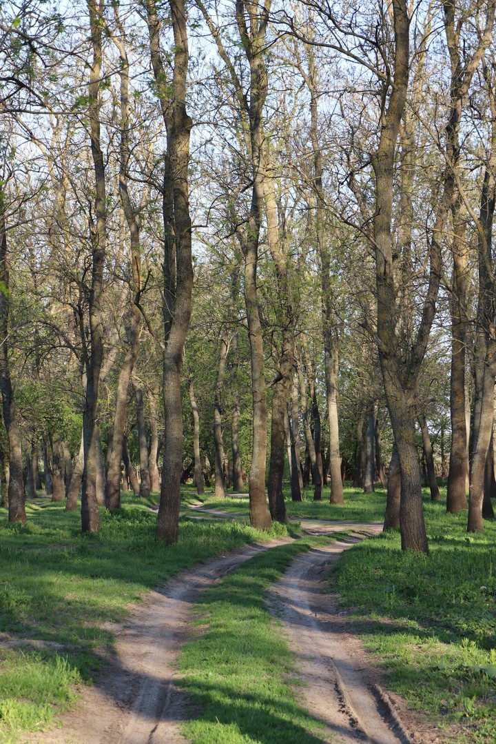 Nature in Moldova