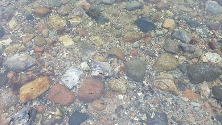 Wasser