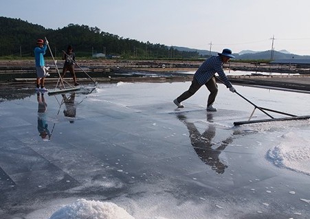 salt field