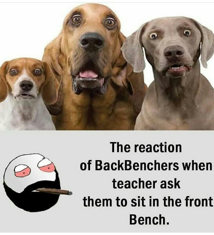 Back bencher  