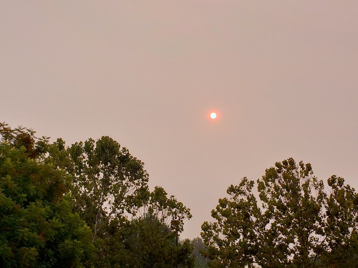 Sun Through the Smoke