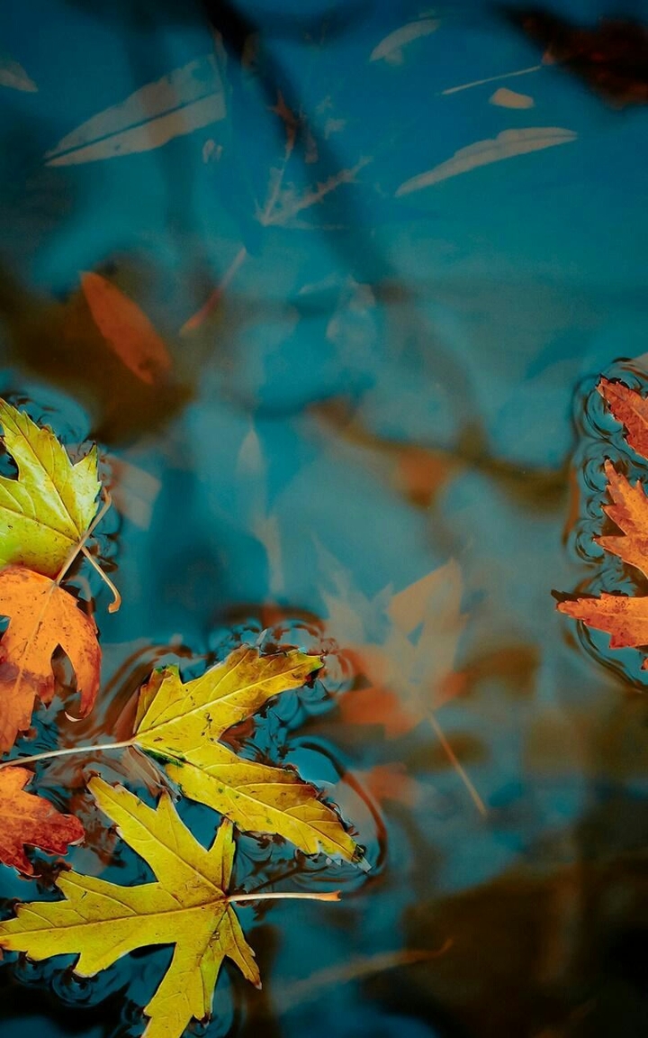 autumn