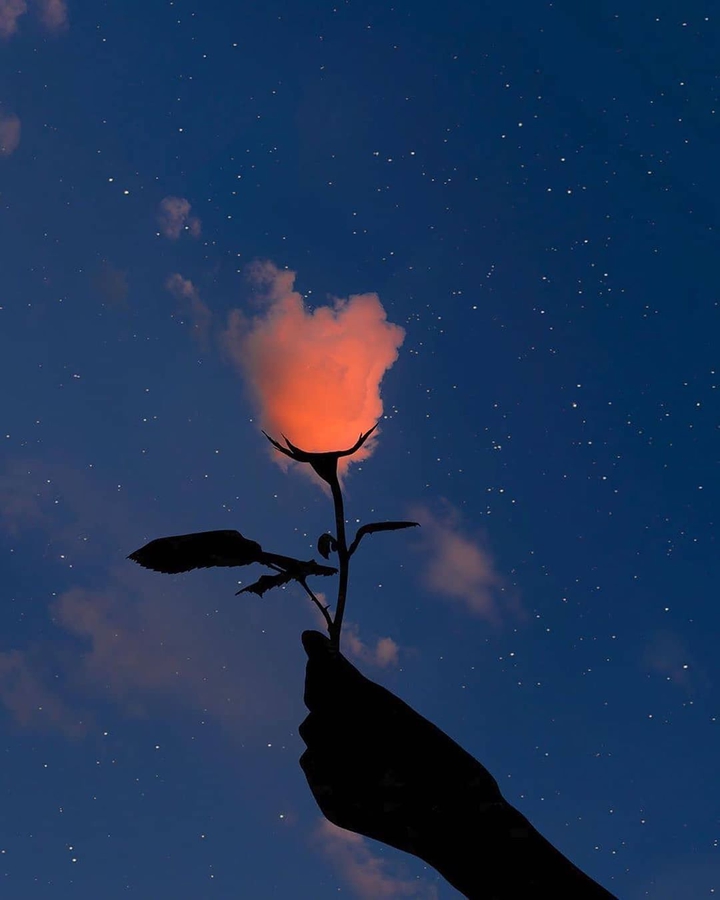 Let it Flow with Flower