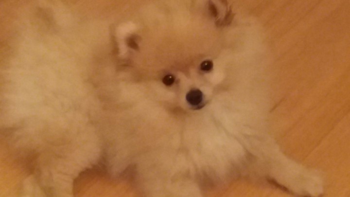 baby