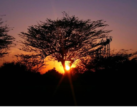 beautiful sunset