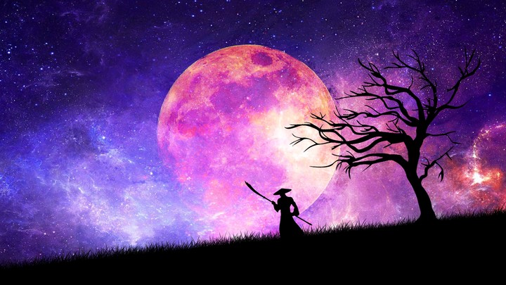 Ninja at Night