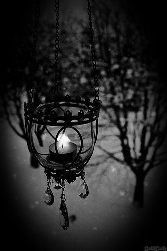 × Blackandwhite ×