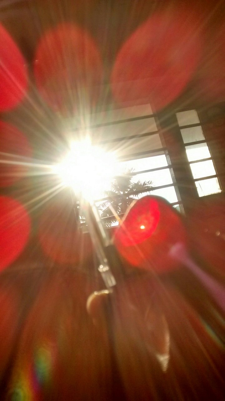 A fresh morning...