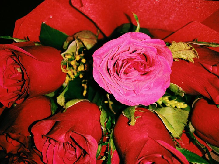 DEFINITION OF LOVE = RED ROSE'S