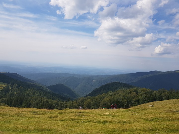 Transalpina