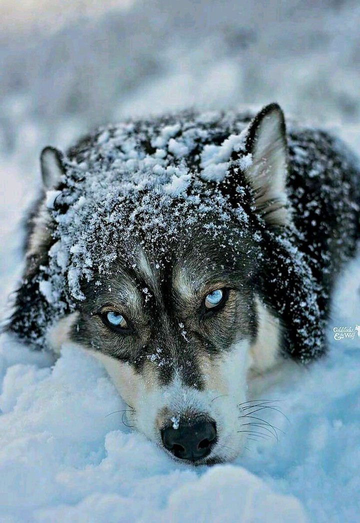 ❤