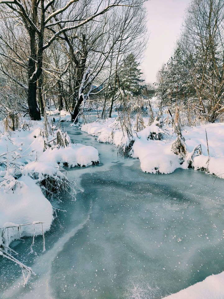 Winter