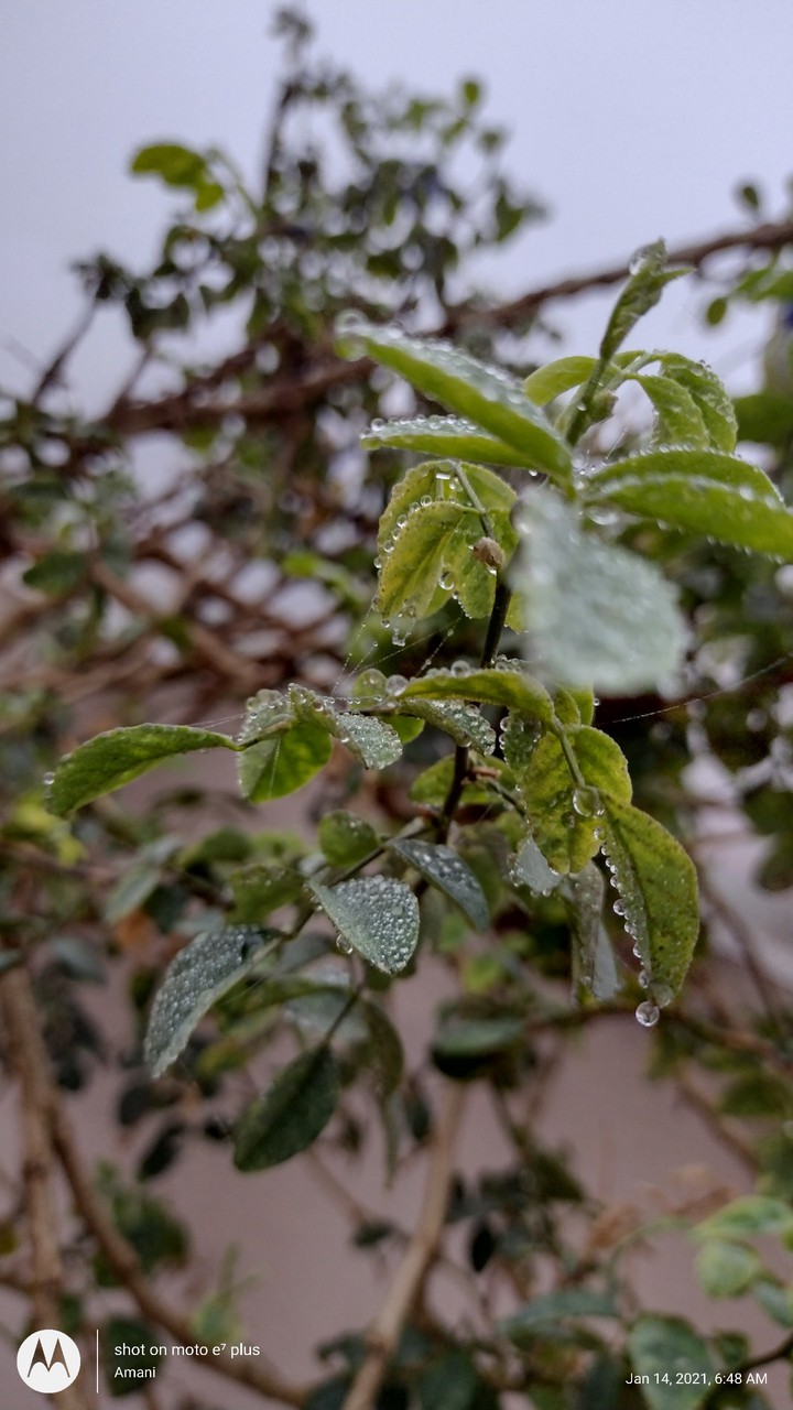 ?️ snow