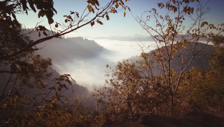 india himachal