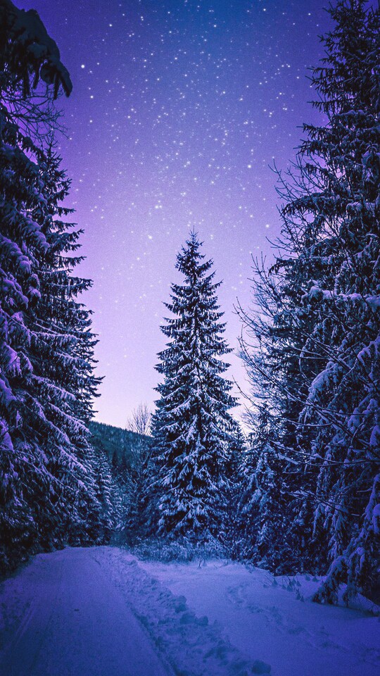 snow world