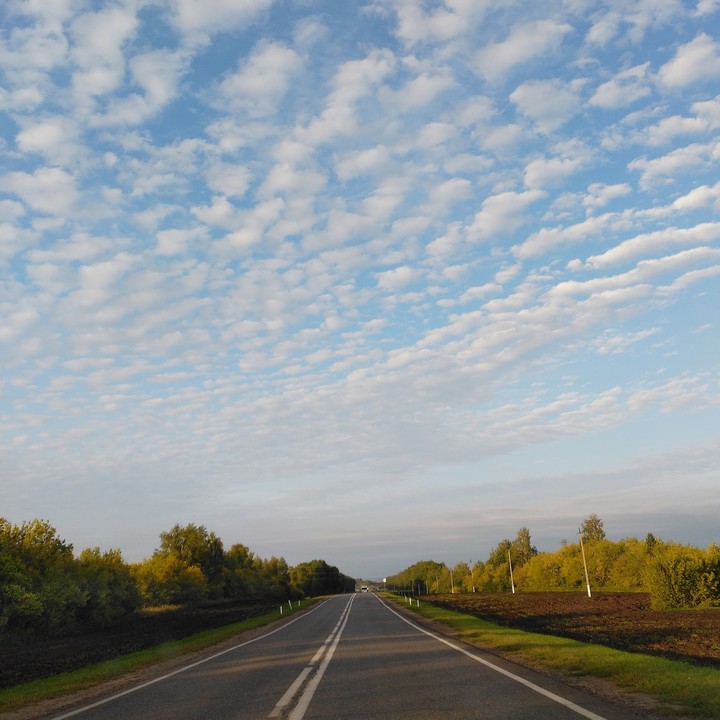 Дорога