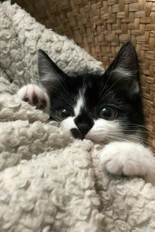 ❤❤❤