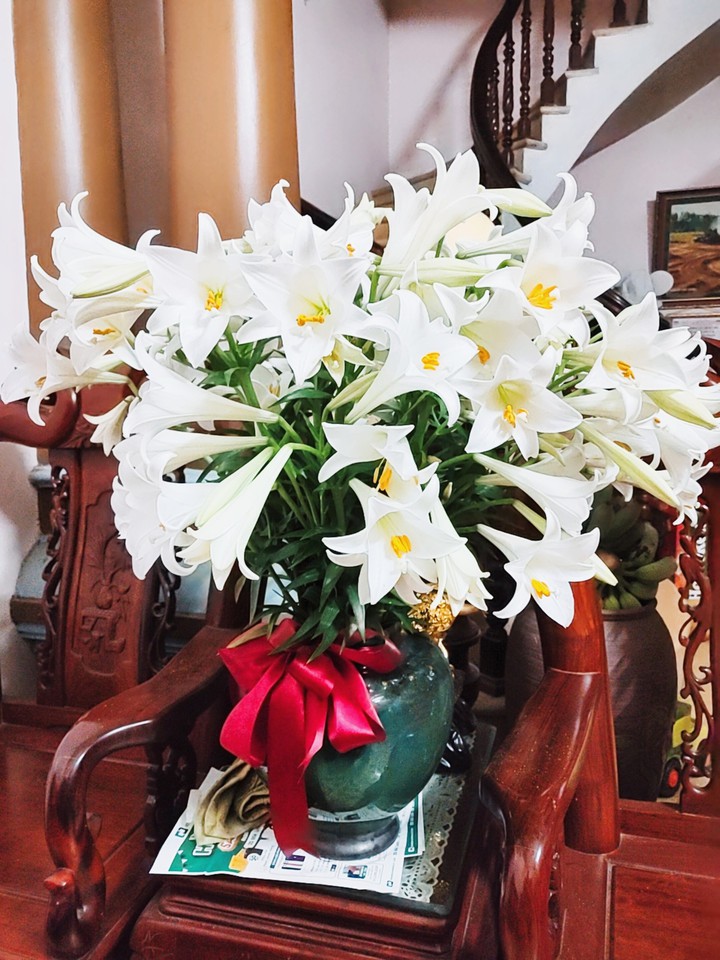 Madonna lily