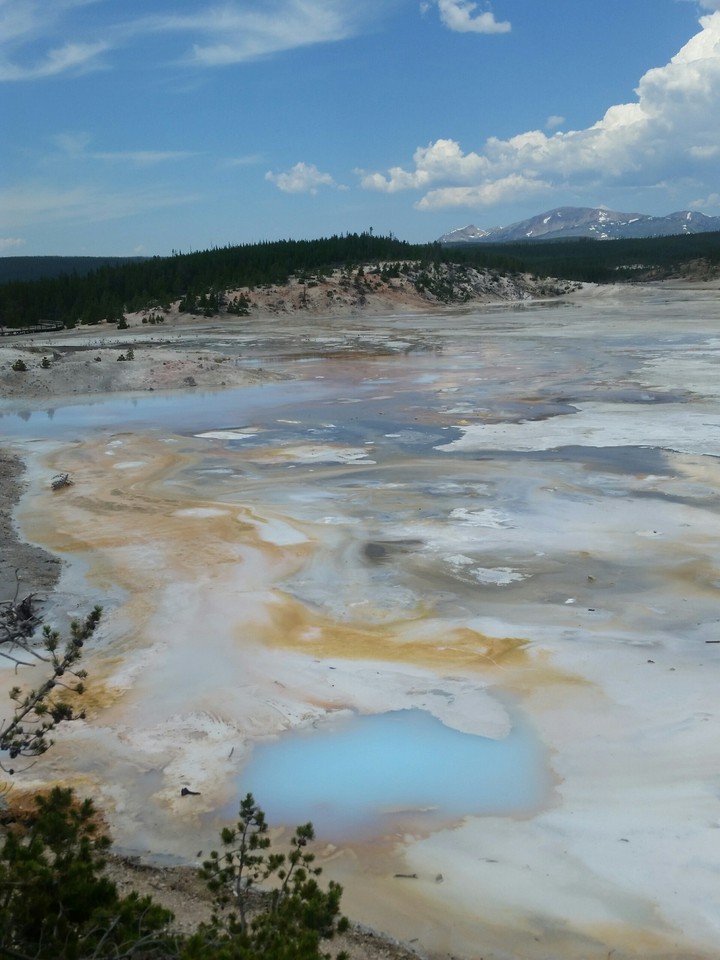 This picture is when I went to Yellowstone National Park.