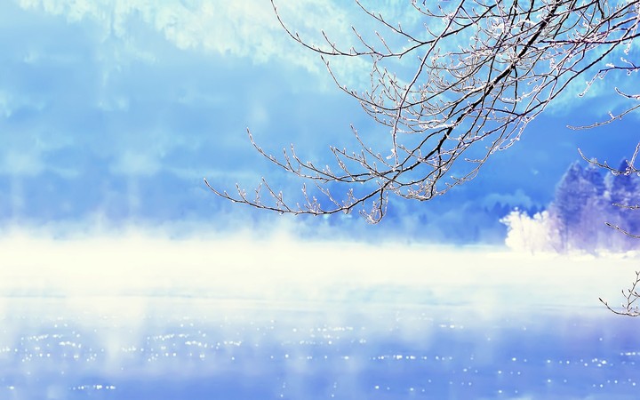 Branch