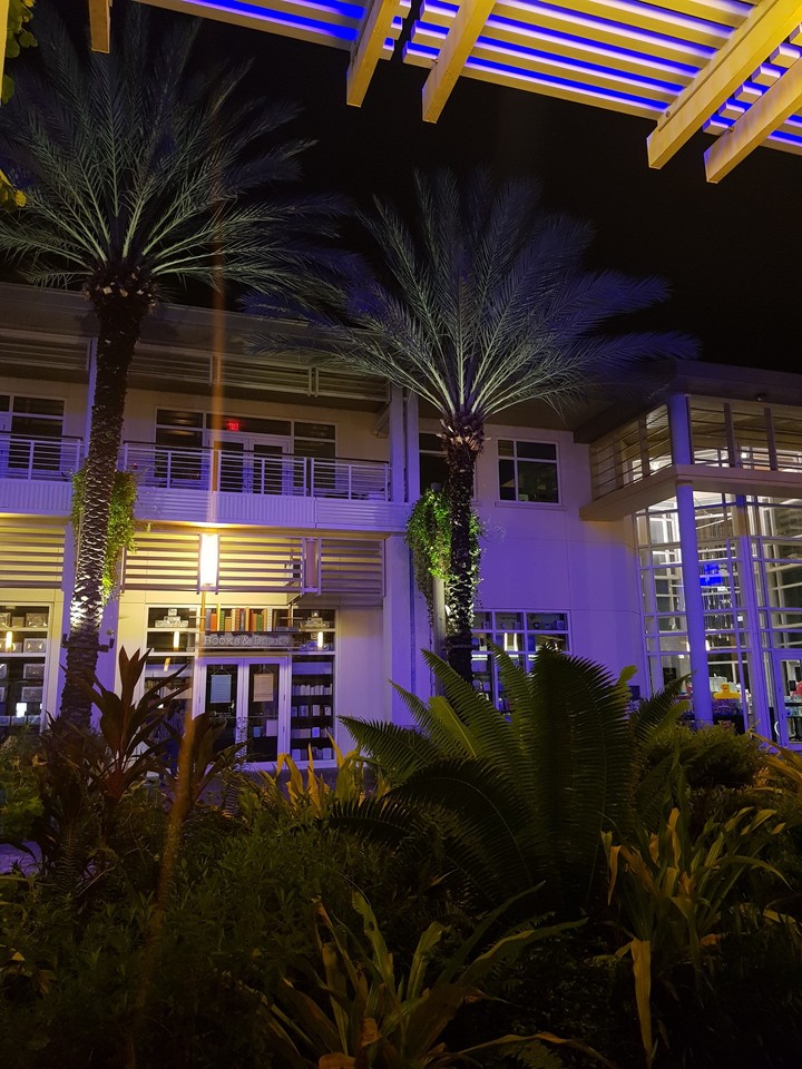night life