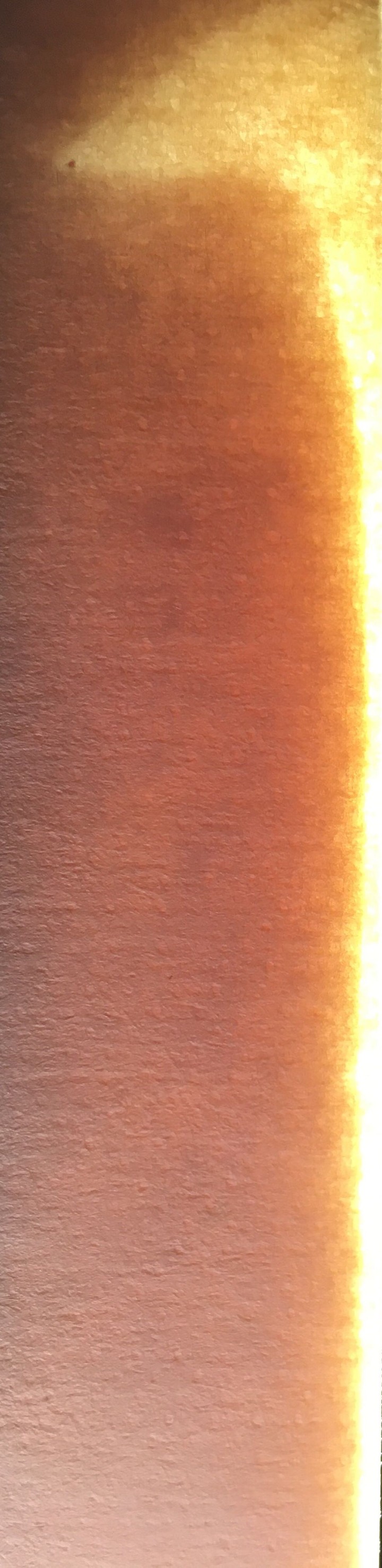 Paper of Sun.