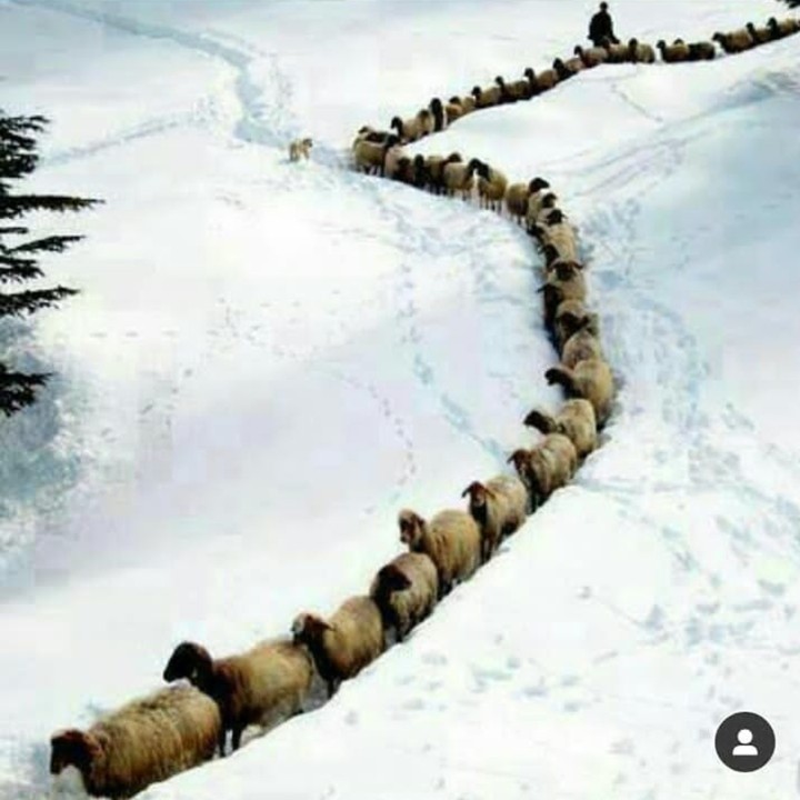 ?