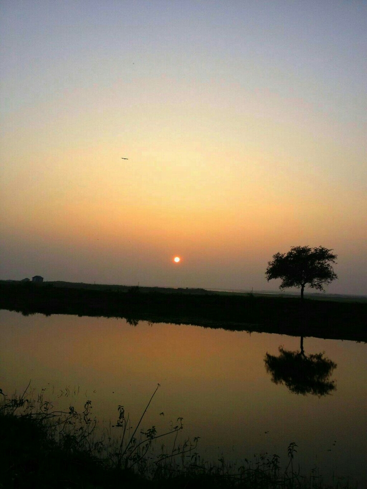 sunset