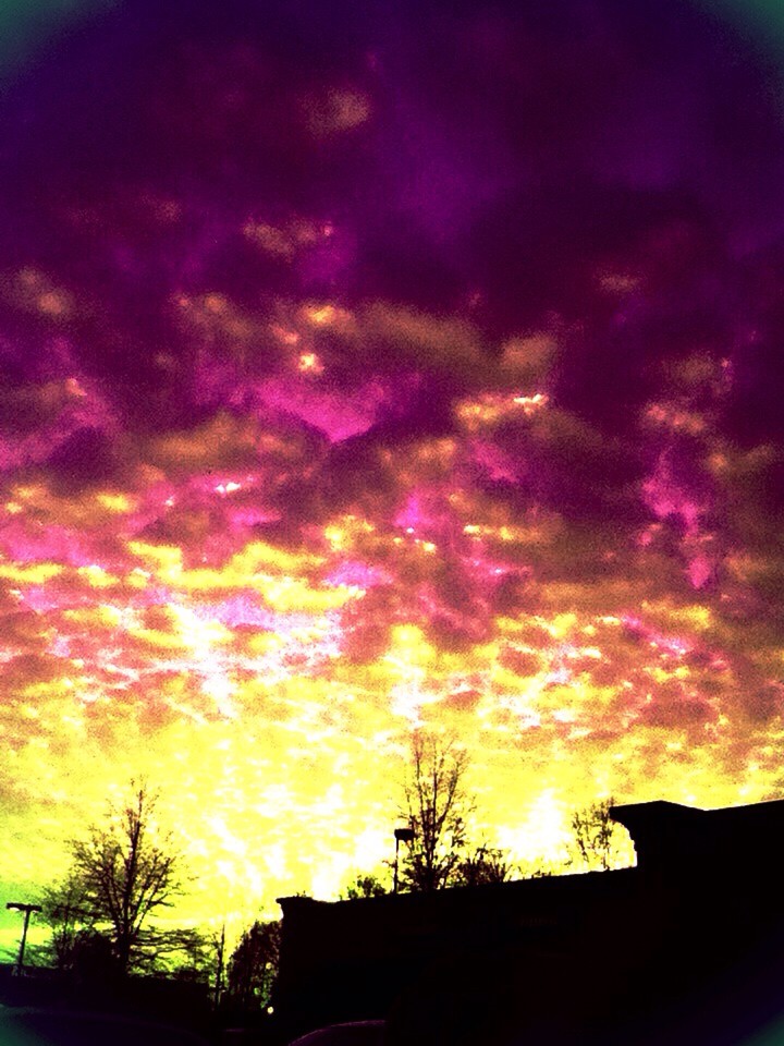 Lavender Clouds