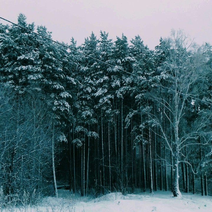 зима