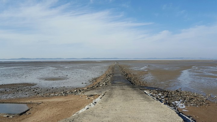 충남 홍성 갯벌