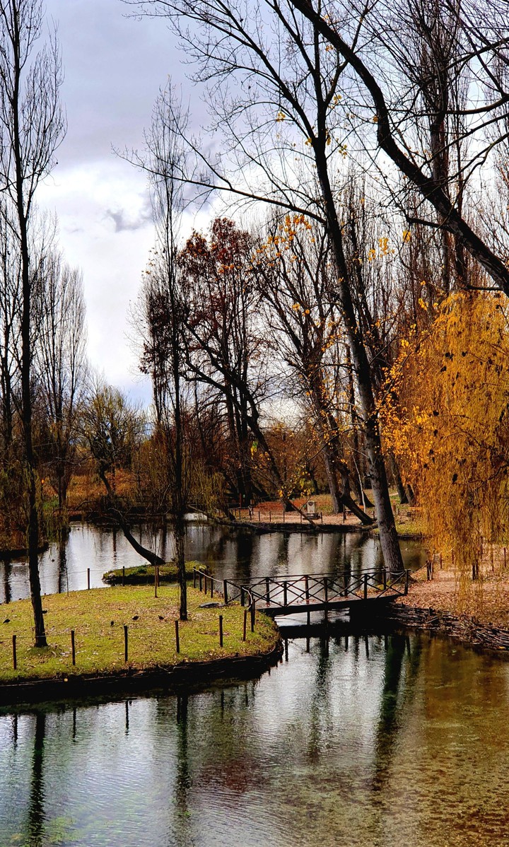 Autumn in Clitunno