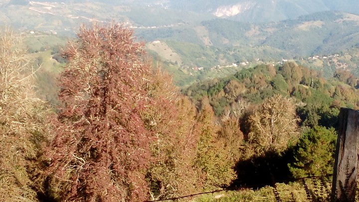otoño