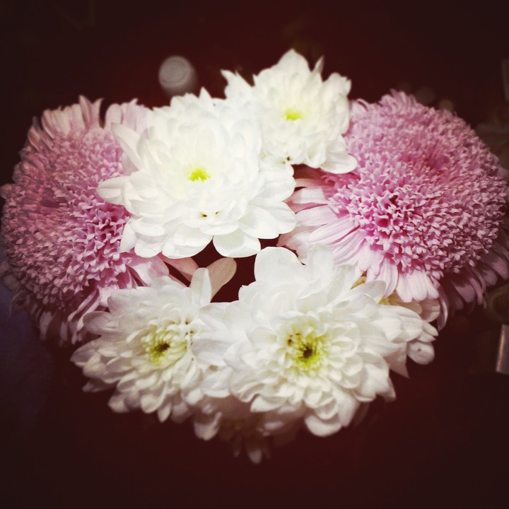 #flowers #beautiful