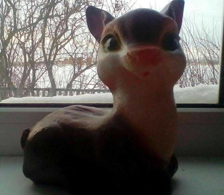 fawn