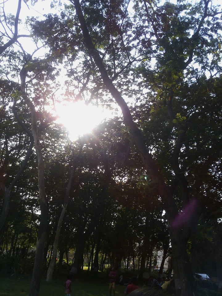 nature